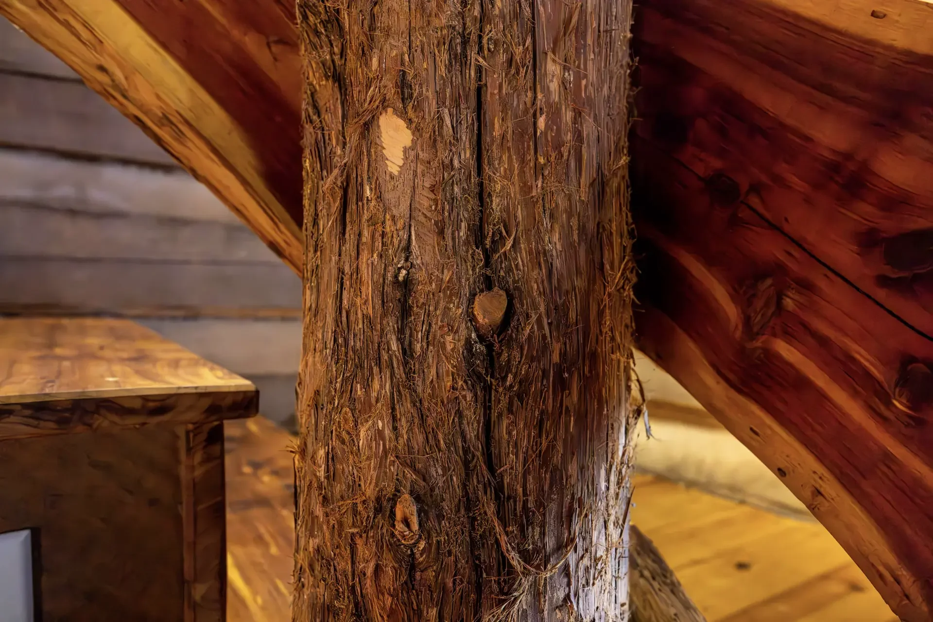 Log Cabin on the River - Image 23